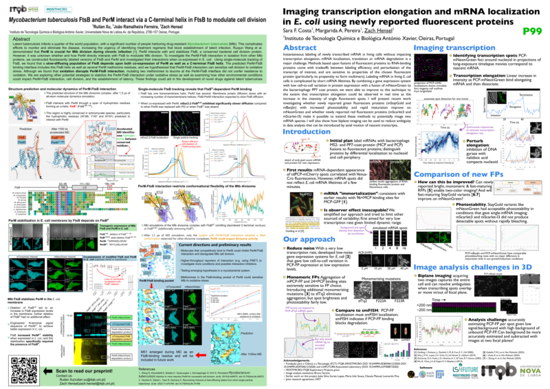 Posters on Mtb PerM-FtsB and mRNA imaging